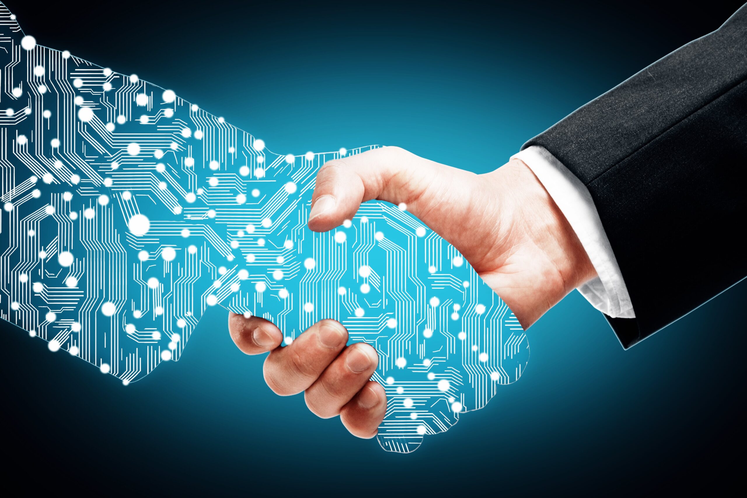 STS - Smart information technology solutions.